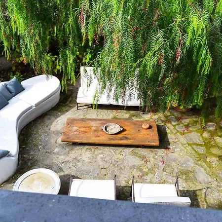 La Casa Del Pepe Rosa *